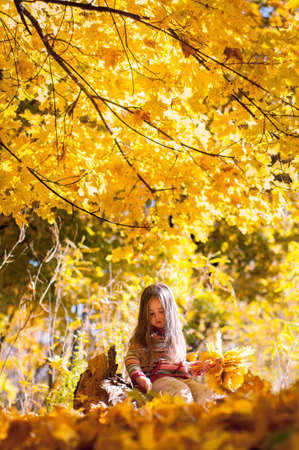 Little girl dreaming sitting on a log in the autumn park with a bunch of yellow maple leaves in handの写真素材