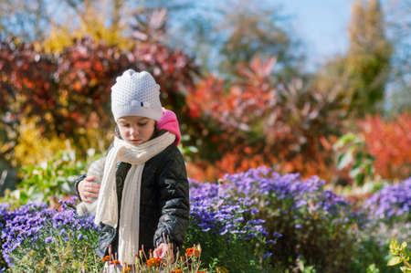 Little girl walks in the autumn colorful garden. He holds a soft toy in one hand touches the flowers with the other hand.の写真素材