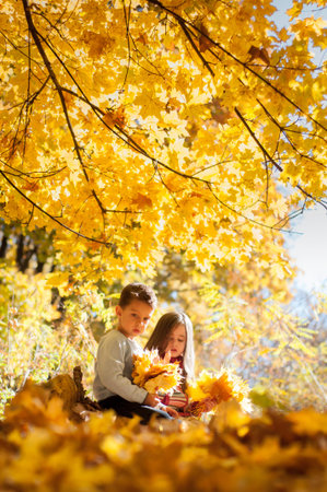 Pensive kids sittin on a log in the autumn park with a bunch of yellows maple leaves in handsの写真素材