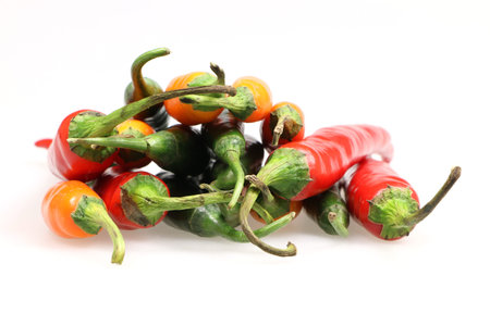 spicy chilli isolate