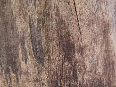 Old wood  texture backgroundの写真素材