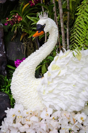 The White Swan Queens was invented by flowers  And displayed at department stores in Thailand の写真素材
