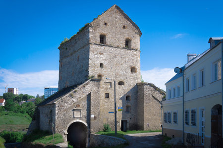 historical monument Vitryana Brama
