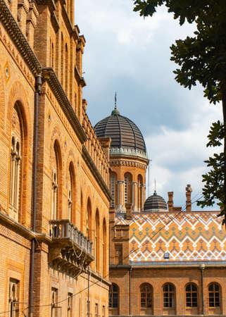 one views of the university. "Chernivtsi National University"のeditorial素材