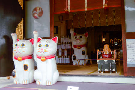 Cats Temple or Love Tampleのeditorial素材