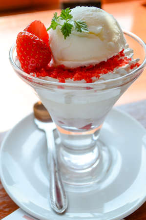 Vanilla yogurt ice creamの写真素材