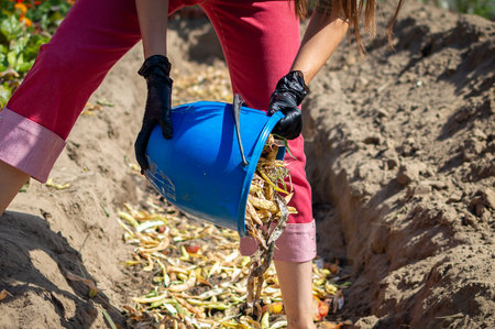 Young woman pouring organic waste into a compost pit from a plastic bucket. Household food waste. Fruit and vegetables losses. Reusing leftover food.の写真素材