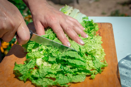 A woman chops the juicy green leaves of fresh napa cabbage or Peking cabbage with a knife. Cooking healthy food outdoorsの写真素材