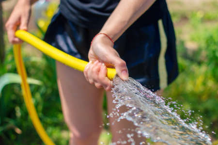 Woman's hand with garden hose watering plants, gardening concept. Gardener girl.の写真素材