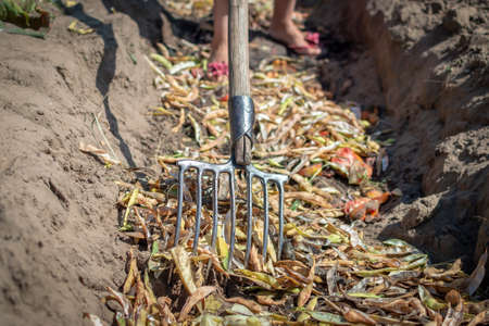 Making and preparing a compost pit for the production of organic fertilizers for the garden. Selective focusの写真素材