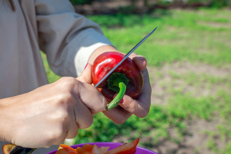 Hands of a young woman with a knife cut ripe bell pepper outdoors. Cutting pepper into slices....