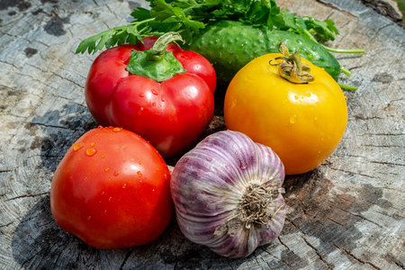 Set of fresh wet vegetables: red and yellow tomato, green cucumber, head of garlic, peppers and...