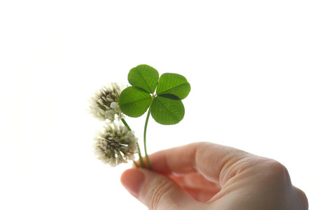 Four leaf clover and flowers