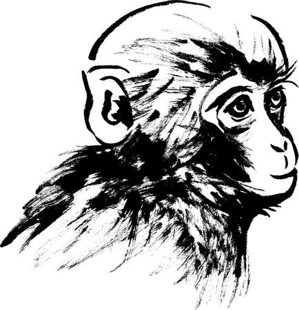 Japanese style illustrations of Monkeyのイラスト素材
