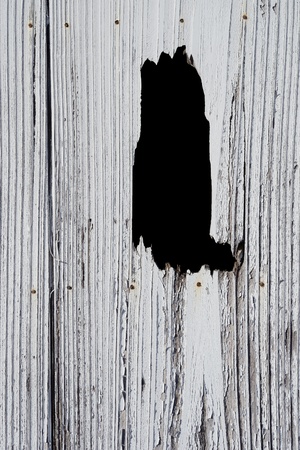 wood planks background の写真素材