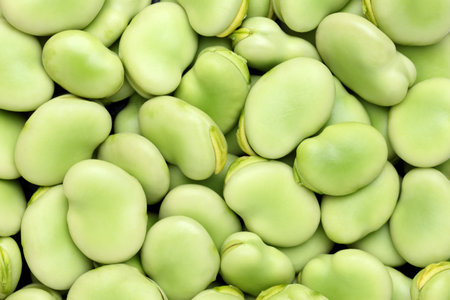 stack of broad beans as background