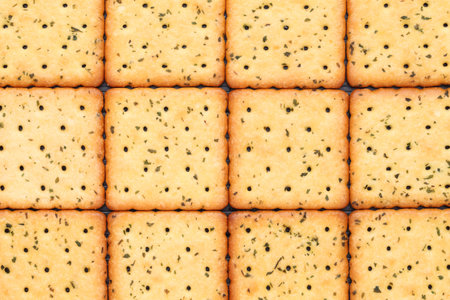 Vegetable salty crackers background