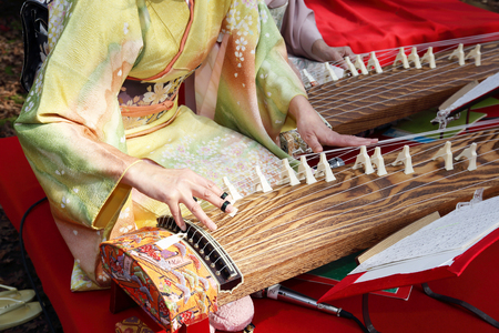 Japanese woman playing the traditional koto Japanese traditional instrumentの写真素材