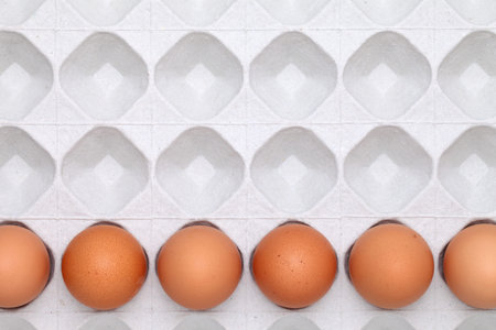 brown egg with package background