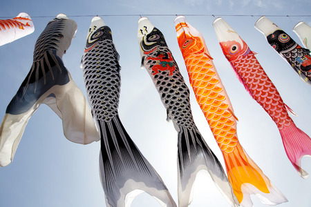 Japanese carp kite streamer decoration on against blue skyの写真素材