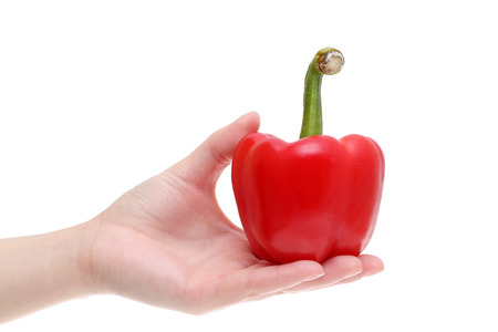 hand holding red paprika isolated on white backgroundの写真素材
