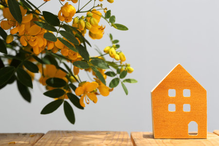 miniature model of house with beautiful blossom treeの写真素材