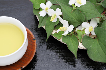 Houttuynia cordata Tea, healthy Dokudami drinkの写真素材