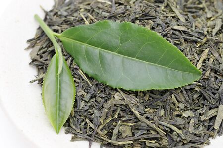 green tea leaves with dried tea leaves on white backgroundの写真素材