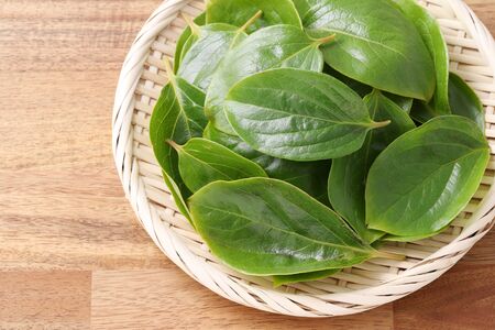 persimmon leaves, herbal medicine in a bamboo basketの写真素材