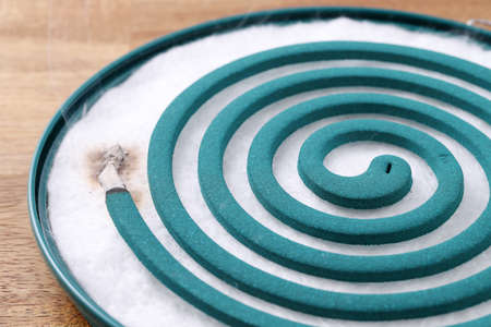 Classic green mosquito coil in a metal plate on tableの写真素材