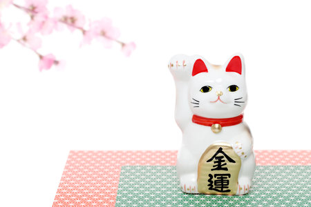 Japanese lucky cat isolated on white background, Japanese word of this photography means "economic fortune"の写真素材