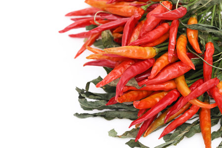 Dried red chili pepper plants isolated on white backgroundの写真素材