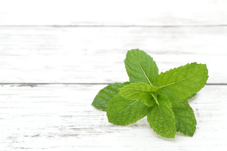 Fresh Mint leaf on a white wooden table.