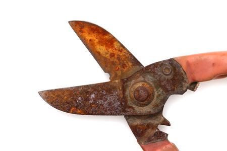 old rusty scissors isolated on a white backgroundの写真素材