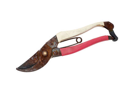 old rusty scissors isolated on a white backgroundの写真素材