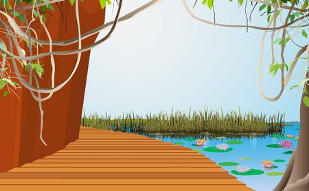 Wooden walkway at the cliff in the swampのイラスト素材