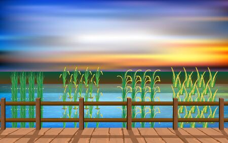 landscape of wood bridge at the rice fieldのイラスト素材