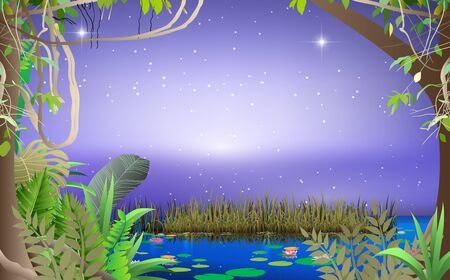landscape of swamp in the nightのイラスト素材