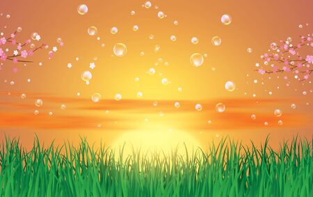 bubble on landscape of green grass in sunsetのイラスト素材