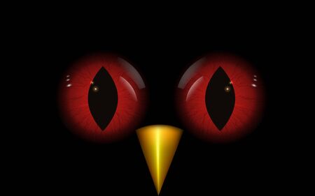 Owl's eyes at nightのイラスト素材