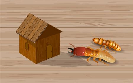 Termites and wooden housesのイラスト素材