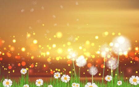 Blowball dandelion in the meadow in morningのイラスト素材