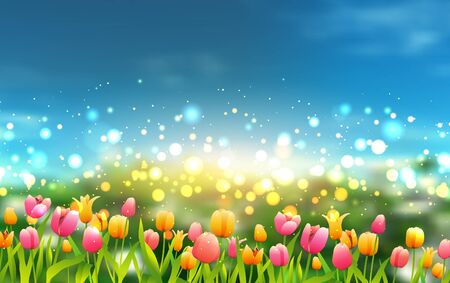 colorful tulips in the gardenのイラスト素材