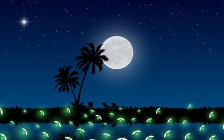 firefly at the swamp on mountain in the full moon nightのイラスト素材