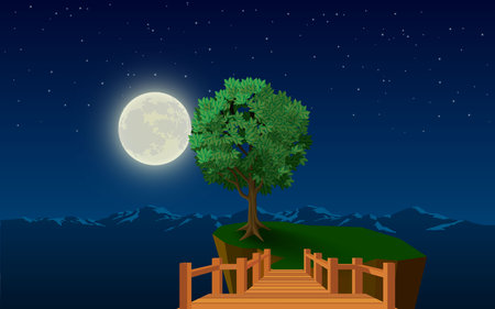 landscape of tree on the cliff in the full moon nightのイラスト素材