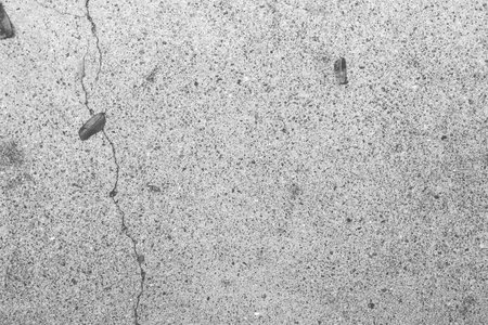 grunge textured wall copy space (background, grunge, black)の写真素材
