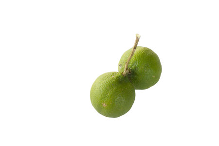 Lime isolated on a white backgroundの写真素材