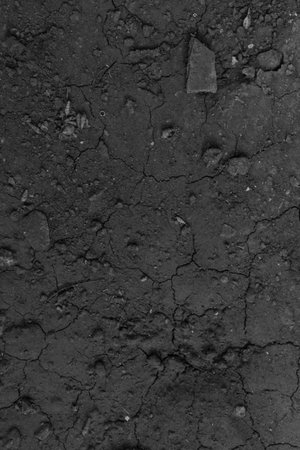 black dry soil textureの写真素材