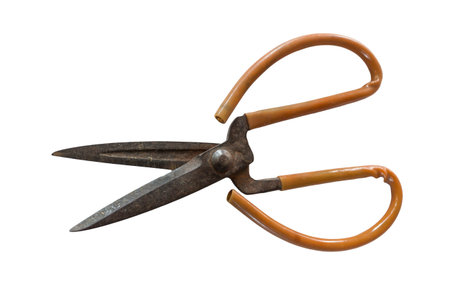 scissors on isolated backgroundの写真素材