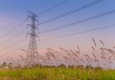 high voltage post High-voltage tower in a fieldの写真素材